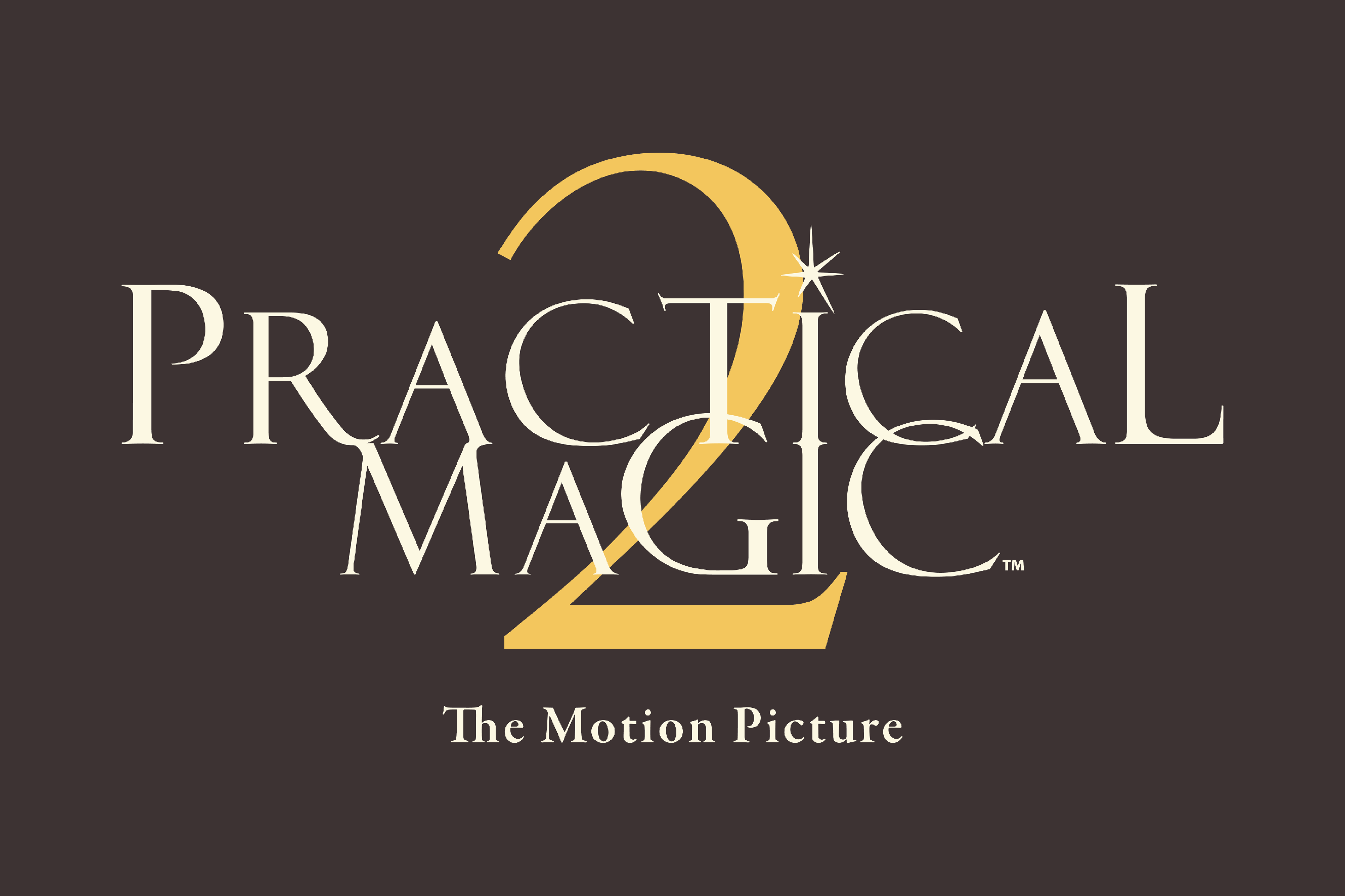 Practical Magic 2